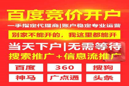 某公司SEM优化成功案例：从零到一的流量增长